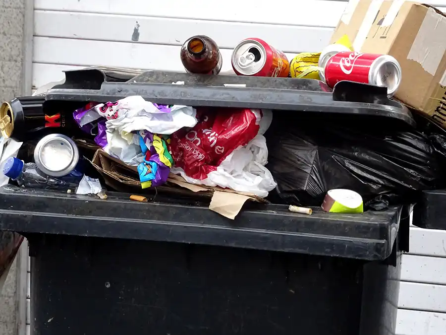 How Can I Throw Out Large Amounts of Trash